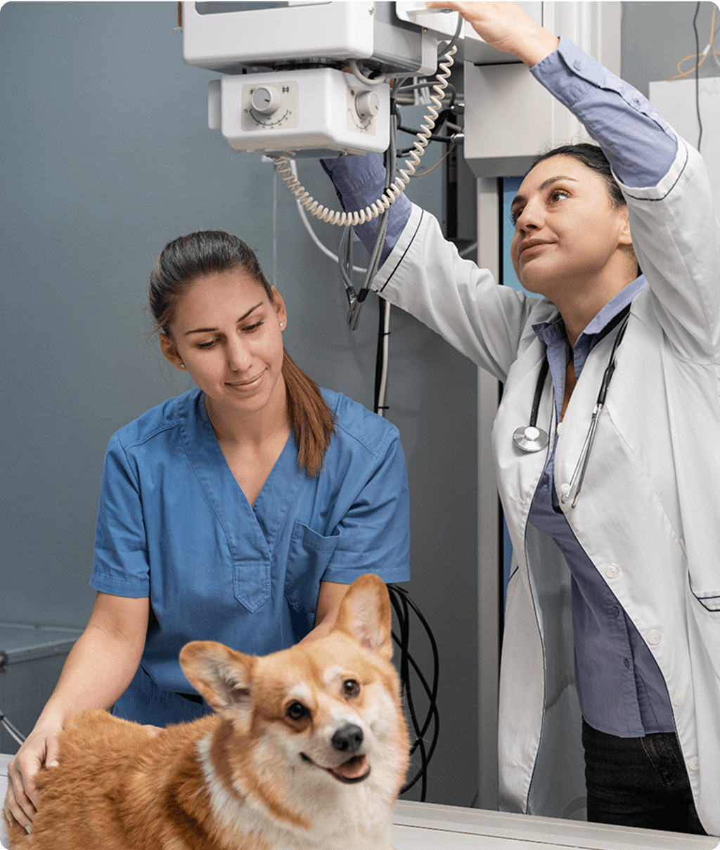 Az ellátás folyamata