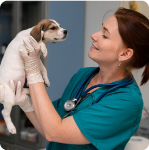 Dr. Katona Ramóna csapattag