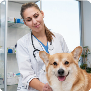 Dr. Tóth Orsolya csapattag